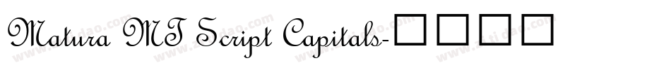 Matura MT Script Capitals字体转换
